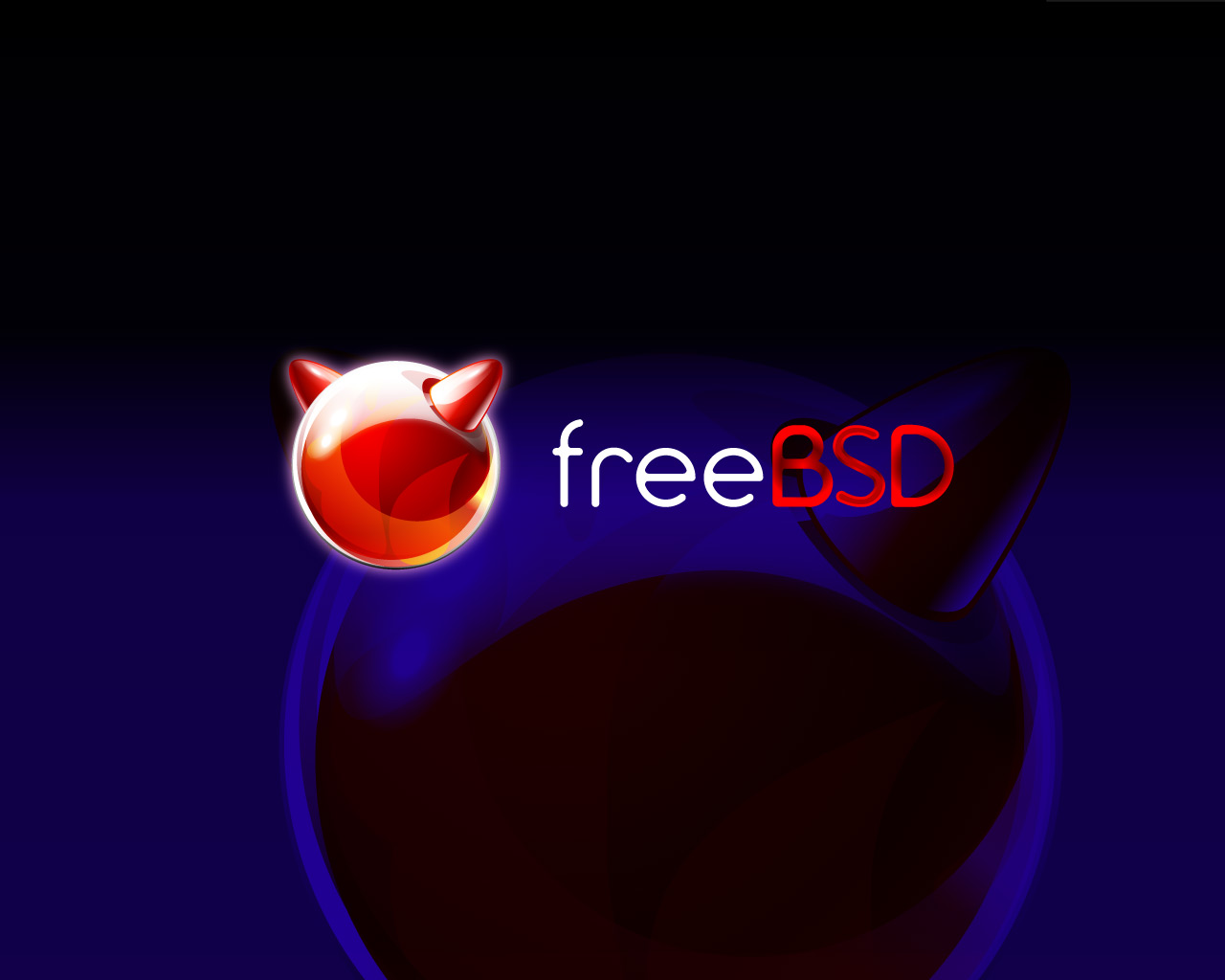 freebsd vmware image